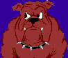 angrydog